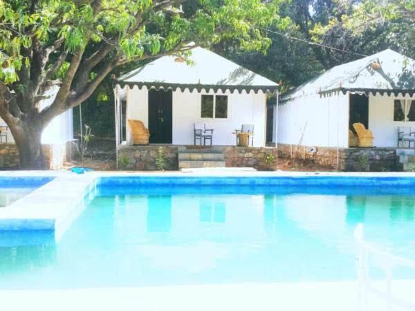 The Chocolate Frog : photo 1 de la chambre tente