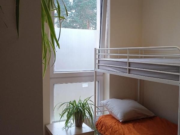 Lubelski : photo 6 de la chambre lit dans dortoir mixte de 4 lits