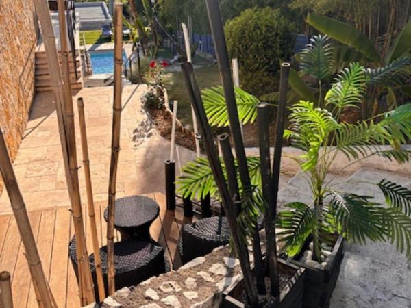 Chambre d'hôtes Le Clos 67 : photo 5 de la chambre chambre double - vue sur jardin