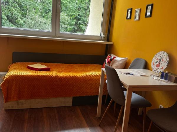 Travel House Wroclaw : photo 7 de la chambre chambre triple avec terrasse