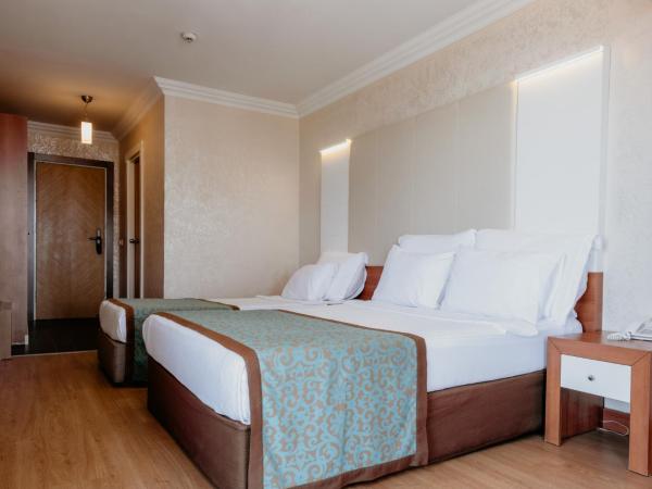 Tac Premier Hotel & Spa : photo 6 de la chambre chambre double - vue sur château