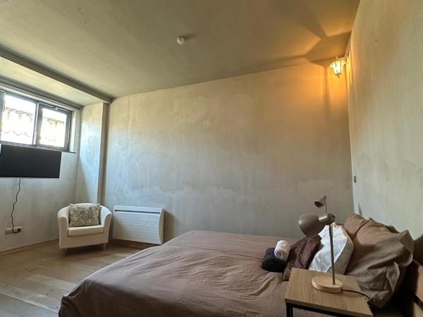 Mulhouse City Loft : photo 1 de la chambre suite junior deluxe