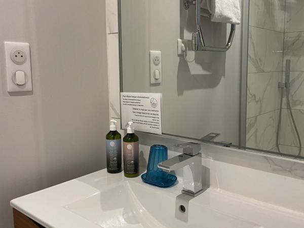 Apparts de l'Oncle Louis : photo 7 de la chambre le loft