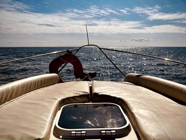 Bateau à quai : photo 1 de la chambre mobile home