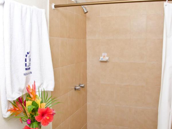 Hotel Hacienda de Vallarta Centro : photo 5 de la chambre chambre standard avec climatisation