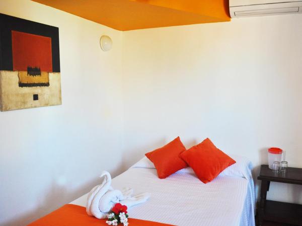 Hotel Hacienda de Vallarta Centro : photo 1 de la chambre chambre standard avec climatisation