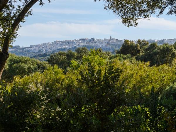 Nomaddicts : photo 2 de la chambre caravane 