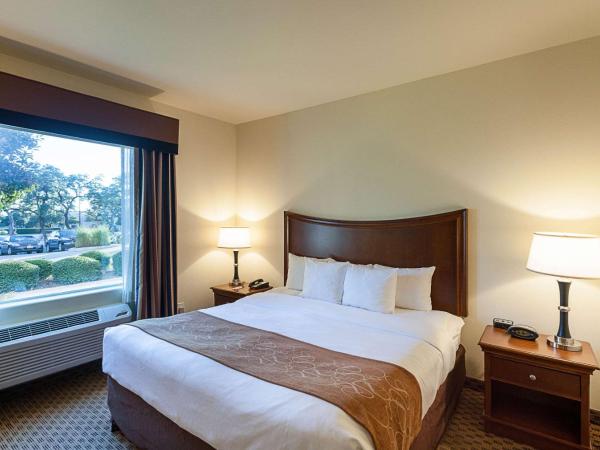 Comfort Suites San Antonio North - Stone Oak : photo 1 de la chambre suite lit king-size avec canapé-lit - non-fumeurs
