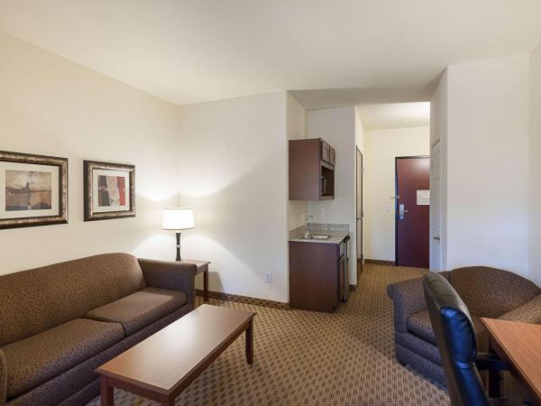 Comfort Suites San Antonio North - Stone Oak : photo 3 de la chambre suite lit king-size avec canapé-lit - non-fumeurs