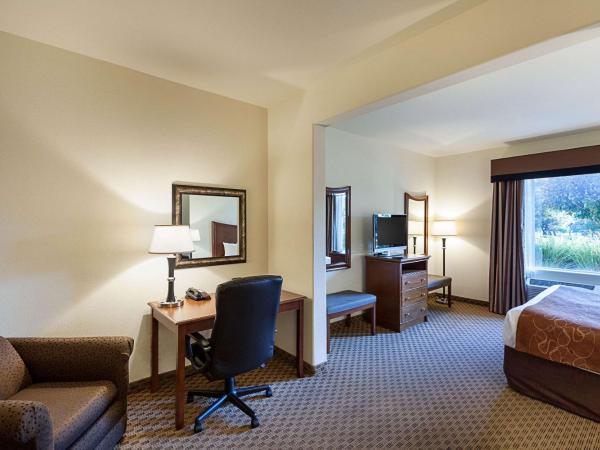 Comfort Suites San Antonio North - Stone Oak : photo 2 de la chambre suite lit king-size avec canapé-lit - non-fumeurs