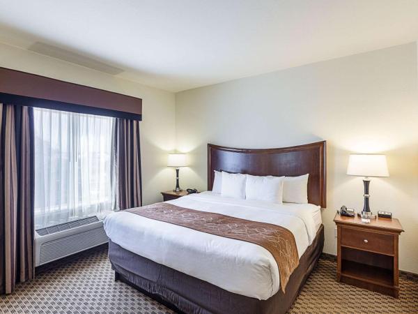 Comfort Suites San Antonio North - Stone Oak : photo 4 de la chambre suite lit king-size avec canapé-lit - non-fumeurs