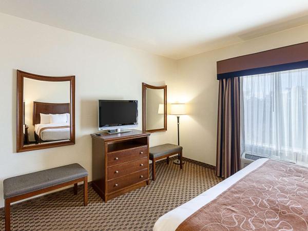 Comfort Suites San Antonio North - Stone Oak : photo 5 de la chambre suite lit king-size avec canapé-lit - non-fumeurs