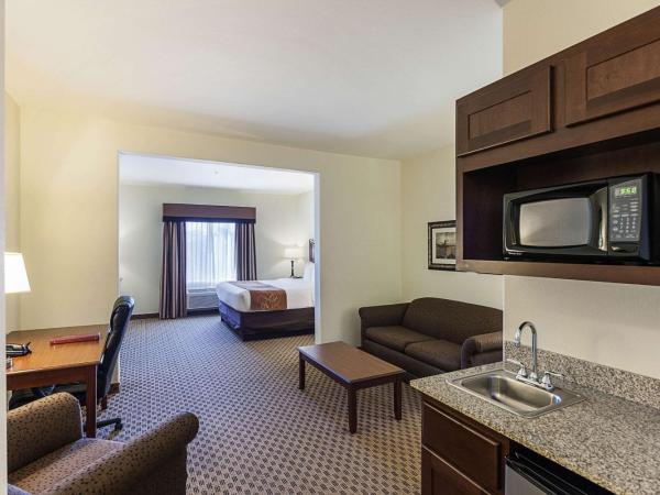 Comfort Suites San Antonio North - Stone Oak : photo 6 de la chambre suite lit king-size avec canapé-lit - non-fumeurs