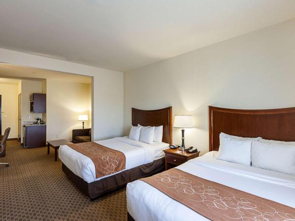 Comfort Suites San Antonio North - Stone Oak : photo 4 de la chambre suite avec 2 lits queen-size - non-fumeurs