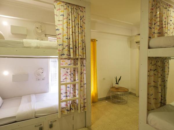 Moustache Hostel, Jaipur : photo 4 de la chambre lit dans dortoir pour femmes de 4 lits