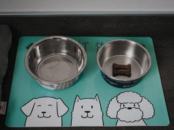 Hôtel Henry II Beaune Centre : photo 6 de la chambre chambre simple