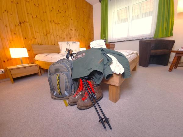 Hotel Alpenblick-Leukerbad-Therme : photo 3 de la chambre chambre simple avec accès spa et téléphérique