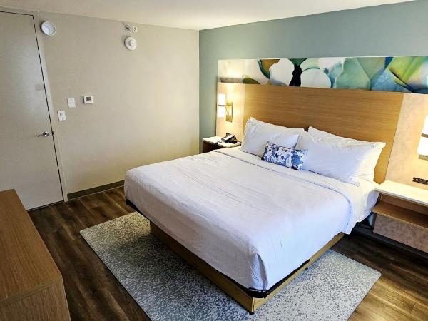 Wyndham Garden Atlanta Airport : photo 3 de la chambre suite junior lit king-size - non-fumeurs