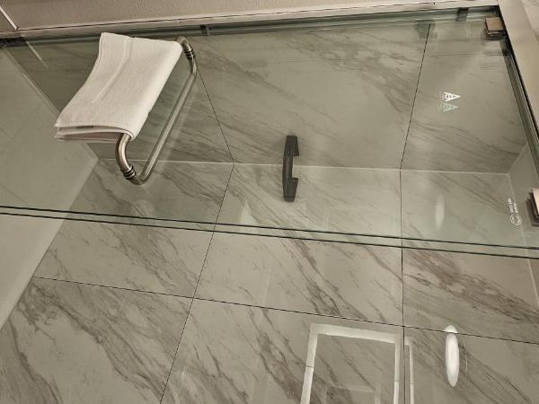 Wyndham Garden Atlanta Airport : photo 3 de la chambre chambre lit king-size - non-fumeurs