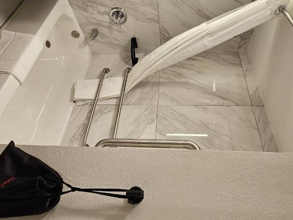 Wyndham Garden Atlanta Airport : photo 3 de la chambre chambre avec 2 lits queen-size et baignoire - accessible aux personnes à mobilité réduite - non-fumeurs