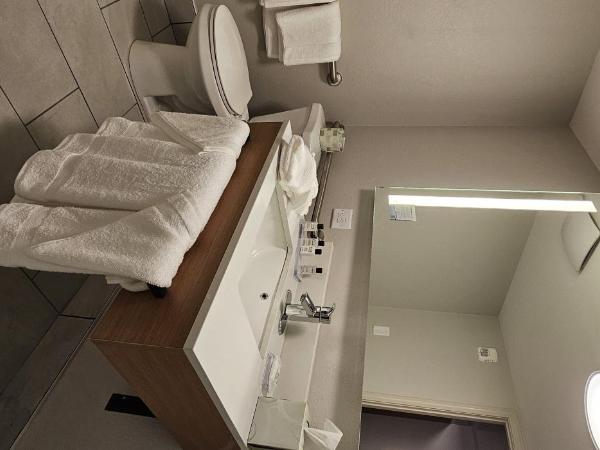 Wyndham Garden Atlanta Airport : photo 2 de la chambre chambre avec 2 lits queen-size et baignoire - accessible aux personnes à mobilité réduite - non-fumeurs