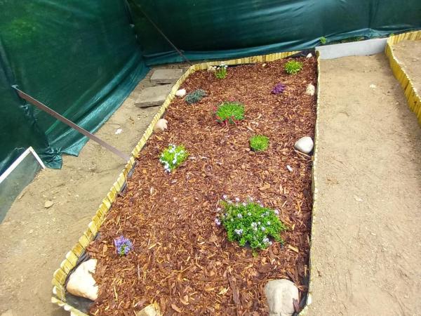 HOTEL RAJSKY : photo 8 de la chambre bungalow - vue sur jardin