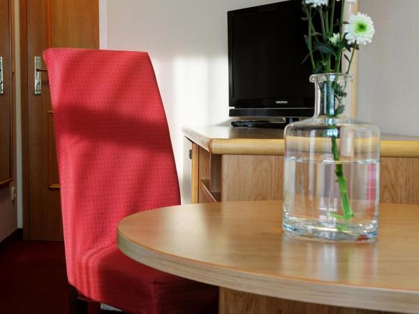 Elbterrasse Wachwitz : photo 2 de la chambre chambre double Économique