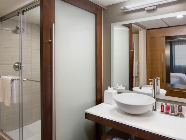 San Antonio Marriott Northwest Medical Center : photo 1 de la chambre chambre lit king-size avec canapé-lit
