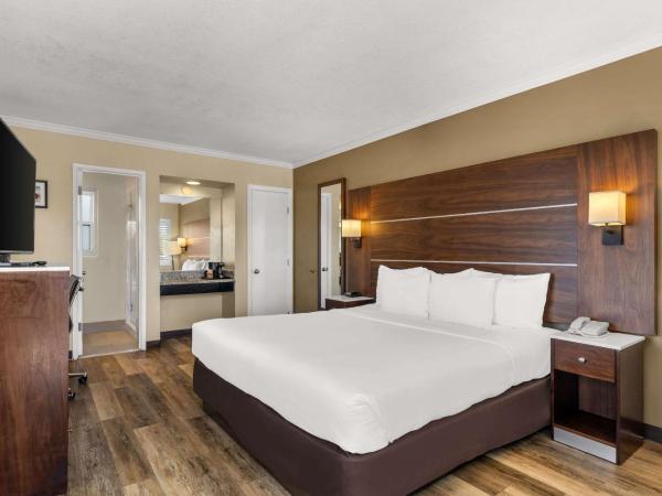 Comfort Inn San Diego Airport At The Harbor : photo 1 de la chambre chambre lit king-size standard - non-fumeurs