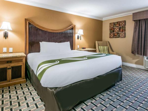 Quality Inn & Suites Atlanta Airport South : photo 1 de la chambre chambre lit king-size - non-fumeurs