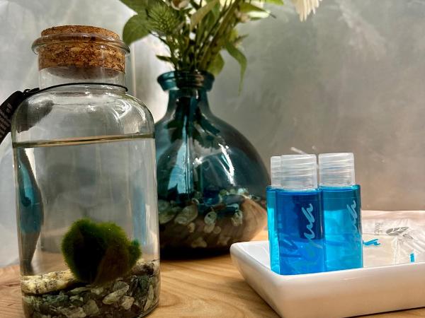 Due Mari Milano Apartment ZONA PORTELLO-FIERA FREE WI-FI : photo 6 de la chambre chambre double avec balcon (3 adultes)