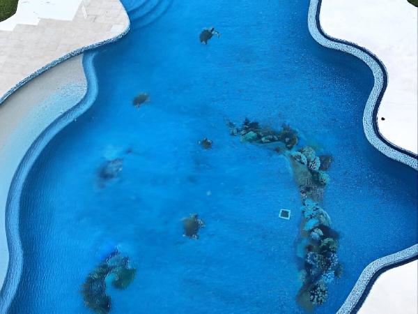 Ave Fénix Hotel and Resort : photo 8 de la chambre suite deluxe