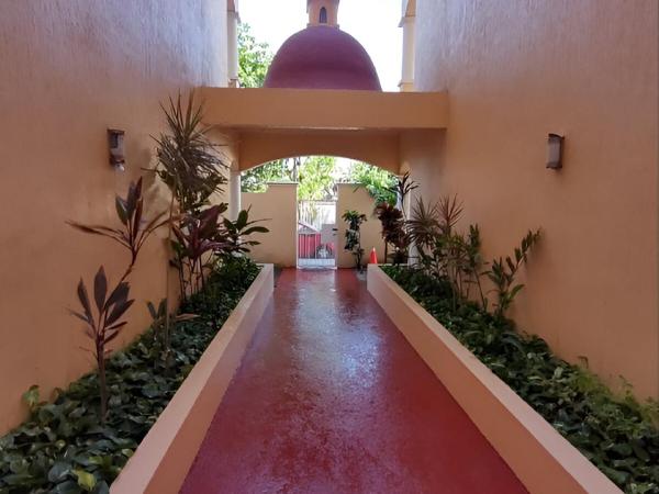 Ave Fénix Hotel and Resort : photo 10 de la chambre suite deluxe