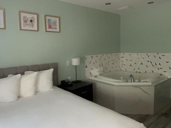 Hotel Newstar Montréal : photo 1 de la chambre suite junior