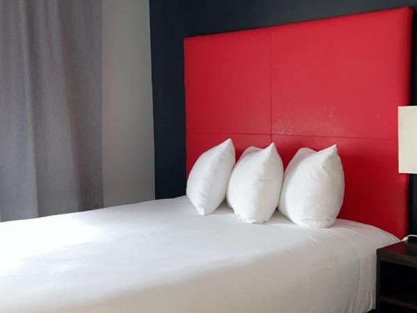 Hotel Newstar Montréal : photo 5 de la chambre suite junior