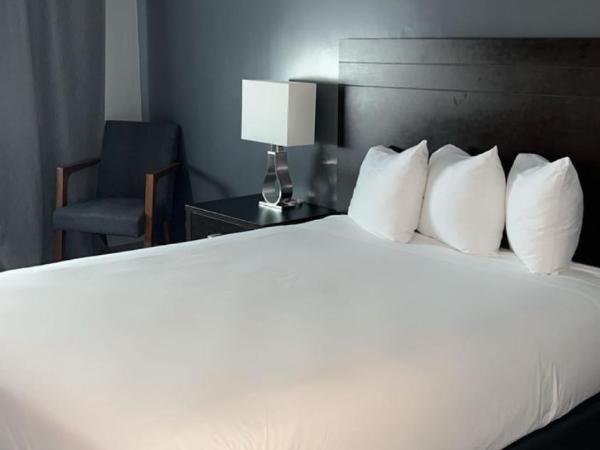 Hotel Newstar Montréal : photo 2 de la chambre chambre standard lit queen-size