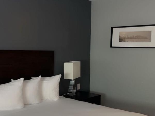 Hotel Newstar Montréal : photo 3 de la chambre chambre standard lit queen-size