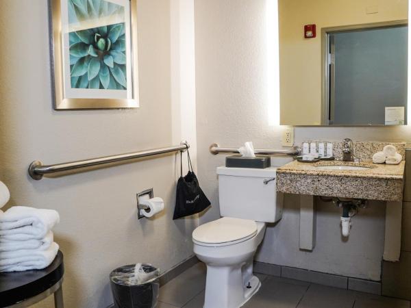 La Quinta by Wyndham Phoenix I-10 West : photo 2 de la chambre chambre lit king-size avec baignoire - adaptée aux personnes à mobilité réduite - non-fumeurs