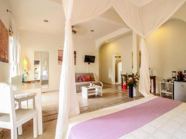Villas Geminis Boutique Condohotel : photo 8 de la chambre suite lit king-size avec balcon - klimt