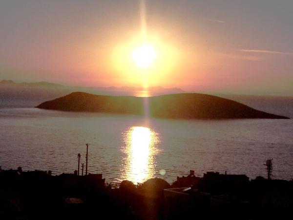 Bodrum Liman Resort : photo 7 de la chambre chambre double - vue sur jardin