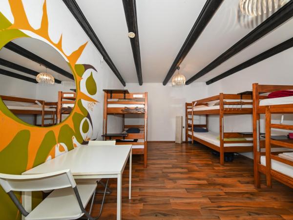 The Lazy Monkey Hostel & Apartments : photo 2 de la chambre lit dans dortoir mixte de 6 lits