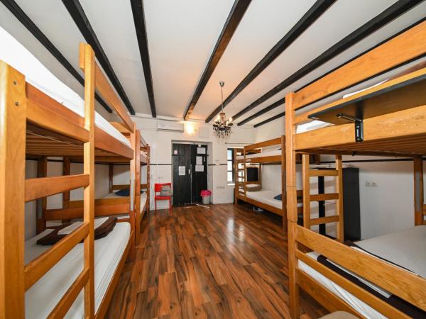 The Lazy Monkey Hostel & Apartments : photo 5 de la chambre lit dans dortoir de 8 lits