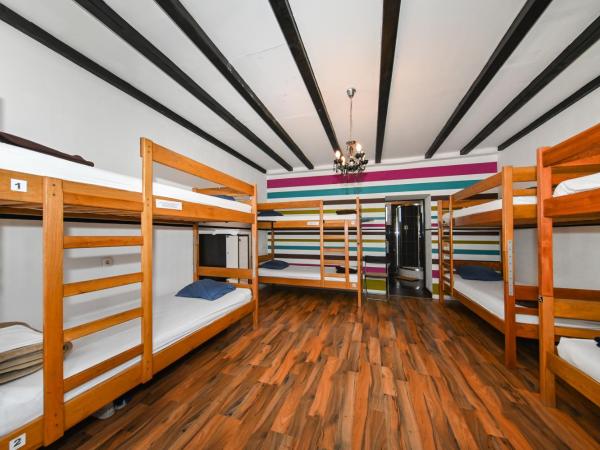 The Lazy Monkey Hostel & Apartments : photo 6 de la chambre lit dans dortoir de 8 lits