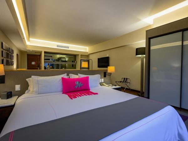 Las Suites Campos Eliseos : photo 3 de la chambre suite premium