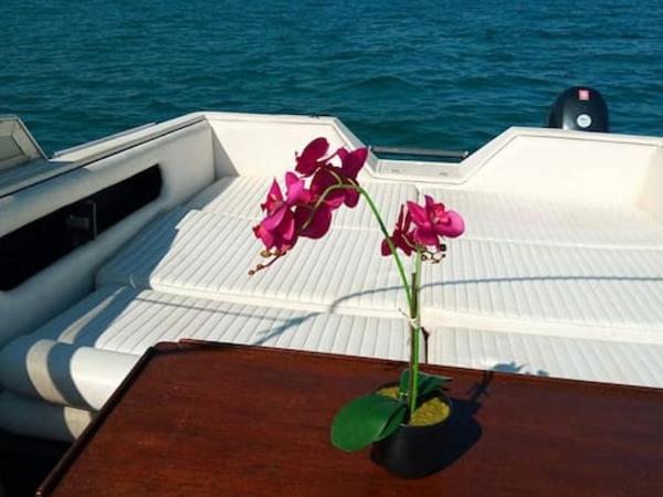 Exclusive boat in Marina de Valencia, ideal for couples : photo 2 de la chambre mobile home