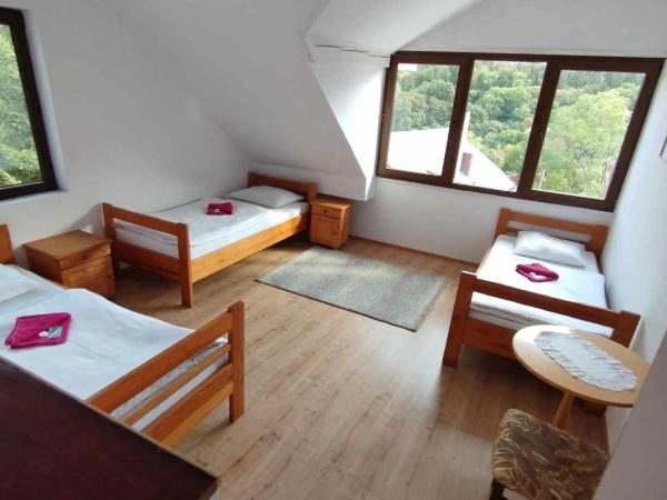 Usługi hotelarskie Karpacz : photo 1 de la chambre chambre familiale standard