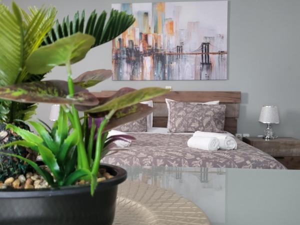 DIMITRA STUDIOS : photo 8 de la chambre studio