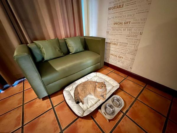 Comsaed River Kwai Resort : photo 3 de la chambre garden wing - pet friendly