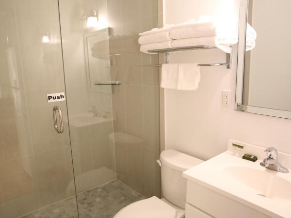 Xiao Wang : photo 6 de la chambre chambre lit queen-size - vue sur jardin