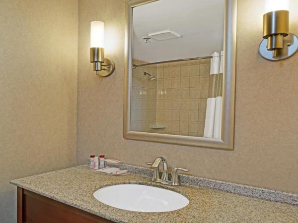 Ramada by Wyndham Niagara Falls/Fallsview : photo 4 de la chambre chambre lit king-size - vue sur ville - non-fumeurs